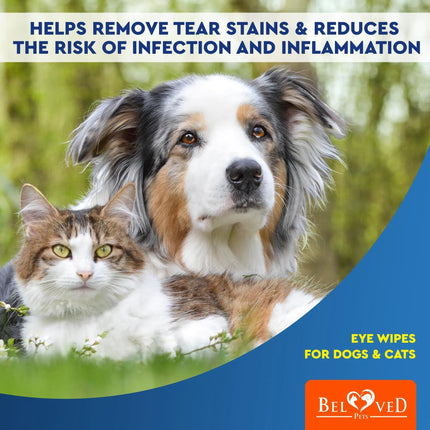 Cat Dog Eye Wash Wipes Infection Treatment 120Pad - CrittersPlus