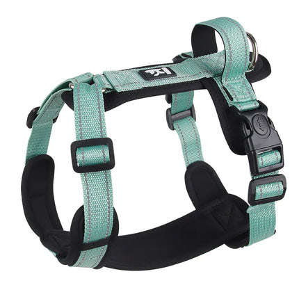 Reflective Dog Vest with Leash for Medium to Large Dogs