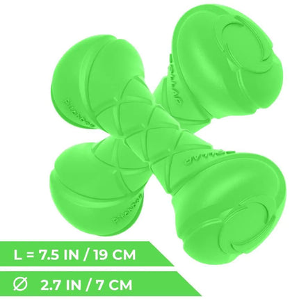 Outdoor Barbell Dog Toy - CrittersPlus