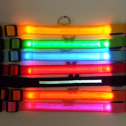 LED Adjustable Dog Collar
