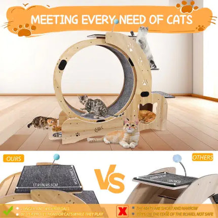 Cat Wheel 6-in-1 Cat Fitness Wheel