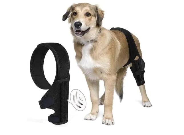 Adjustable Dog Knee Brace for ACL and Joint Support - Black (Medium)