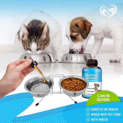 Kennel Cough Treatment Natural Infection Medicine for Dog Cats