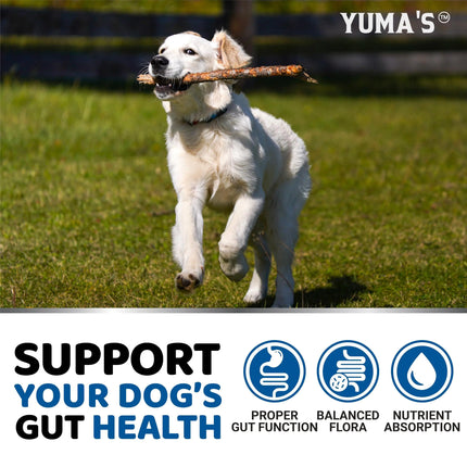 Dog Probiotics Chews - CrittersPlus