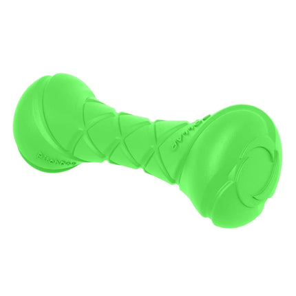 Outdoor Barbell Dog Toy - CrittersPlus