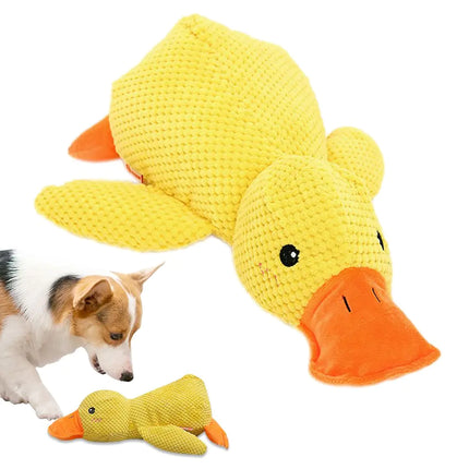 Quack-Quack Duck - CrittersPlus