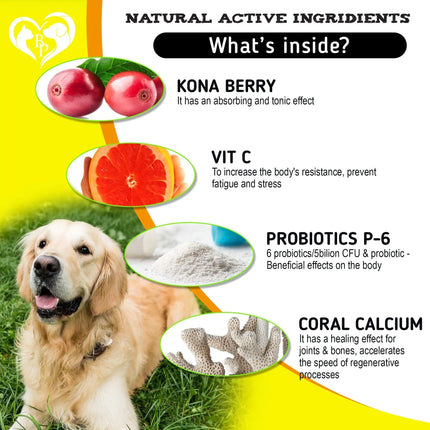 Omega3 Soothing Dog Allergy Chews - CrittersPlus