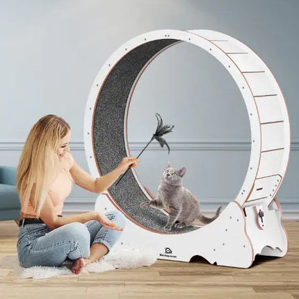 Cat Exercise Treadmill With Carpeted Runway