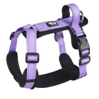 Purple / L