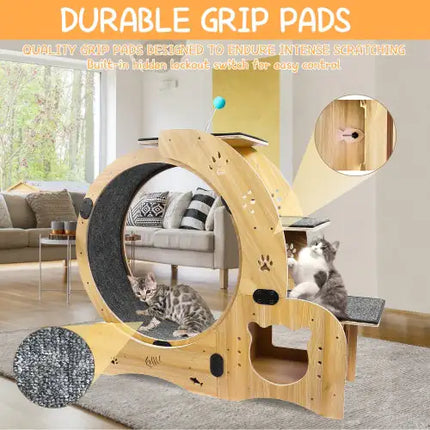 Cat Wheel 6-in-1 Cat Fitness Wheel