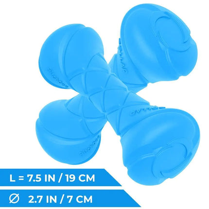 Outdoor Barbell Dog Toy - CrittersPlus