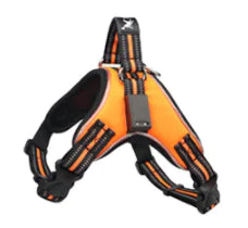 LED Dog Harness for Medium & Large Dogs - Night Travel