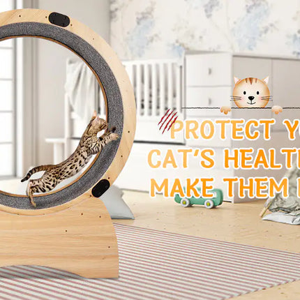 Cat Exercise Wheel -Running