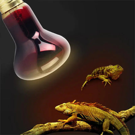 Pet Heating Lamp Ceramic Emitter for Reptiles and Brooders