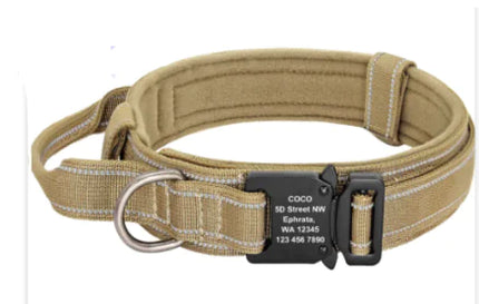 Medium to Large Dog Collars