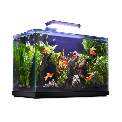 imagitarium Glass Versa Aquarium 9.5 Gallons - CrittersPlus