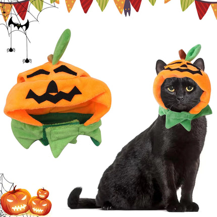 Halloween Cat Costume Pumpkin Hat