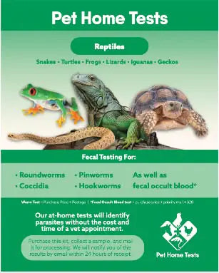 Pet Home Tests Reptiles - CrittersPlus