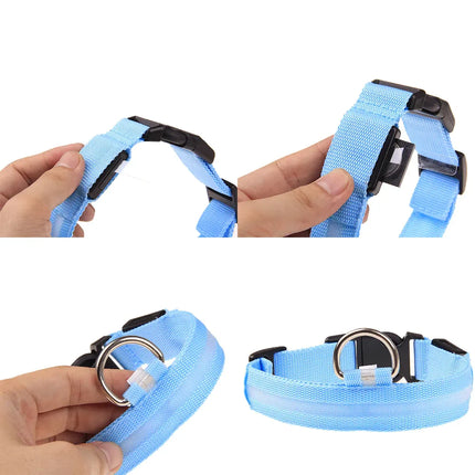 LED Adjustable Dog Collar - CrittersPlus