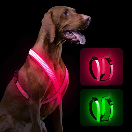 Rechargeable LED Dog Harness - CrittersPlus