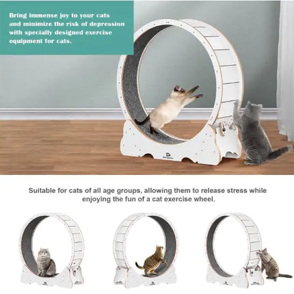 Cat Exercise Treadmill With Carpeted Runway