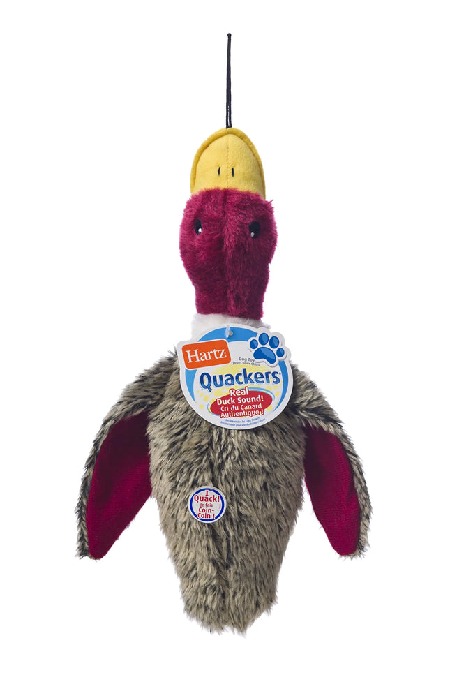 Hartz Natures Collection Quackers Plush Duck - Large - CrittersPlus
