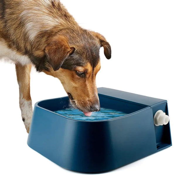 Automatic Water Bowl Outdoor 2L