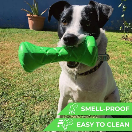 Outdoor Barbell Dog Toy - CrittersPlus