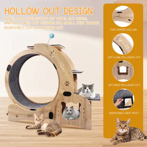 Cat Wheel 6-in-1 Cat Fitness Wheel