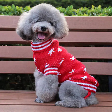Pet Outfit